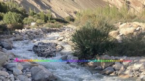 Нурислам Мурадов - Поговорим (2023)