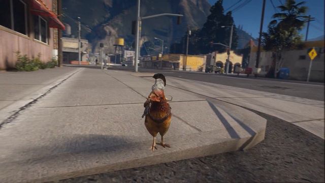 GTA V MODS (Skyrim Chicken Rider mods) :) смотреть онлайн