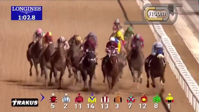 Arrogate - World Champion Racehorse Wins 2017 Dubai World Cup
