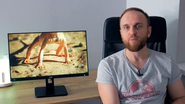 Лучший монитор для работы? Обзор AOC 24P2C