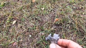 Разбор и отстрел патронов STERLING, в контейнере.