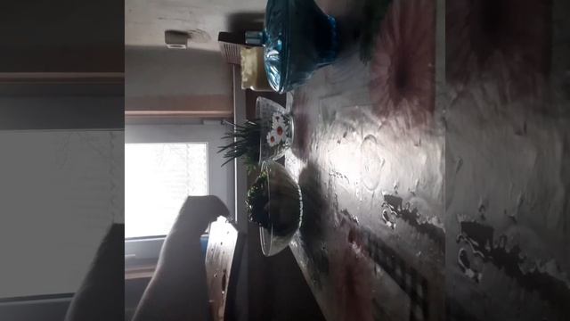 "Весенний салат"из самых простых продуктов. смотреть онлайн