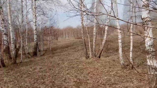 Коп Металла!!! По старым полям с Quest x5 смотреть онлайн