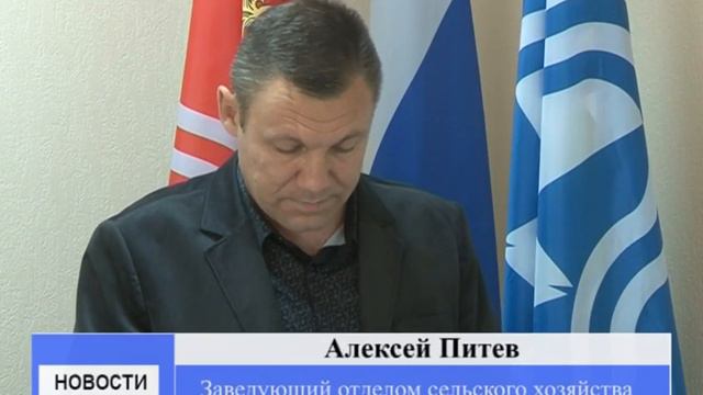 Заседание совета глав органов местного самоуправления смотреть онлайн