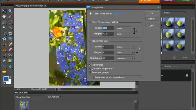 Photoshop Elements 9.0 Tutorial Image Size & Resolution Settings Adobe Training Lesson 4.3 смотреть онлайн