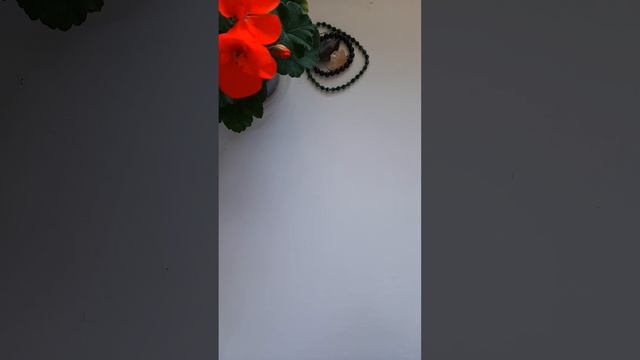 Пасьянс Стрiлець♐30.10-5.11.2023?Таро? смотреть онлайн