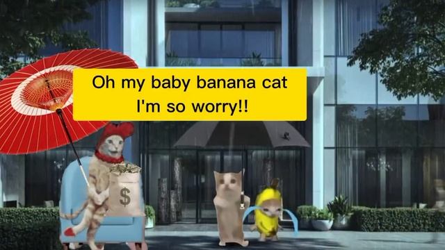 Auntie Cat ask Happy Cat to find missing Banana Cat смотреть онлайн