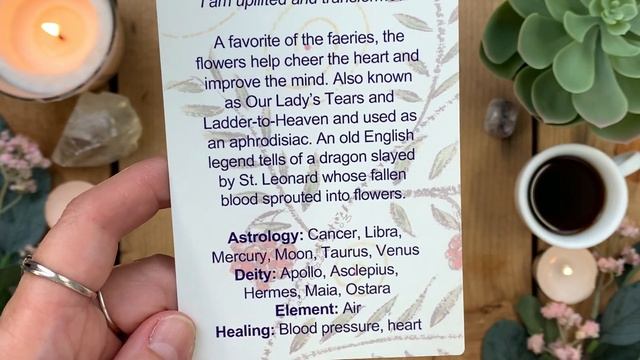 Fairy Herbal Oracle Deck by Kathy Crabbe смотреть онлайн