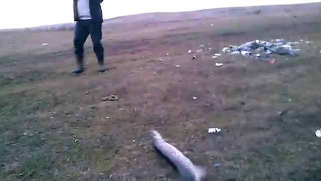 Трофейная щука Рыбалка в Кумертау смотреть онлайн