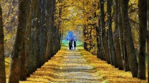 Дмитрий Хворостовский ( Я помню чудное мгновенье ) Царское село