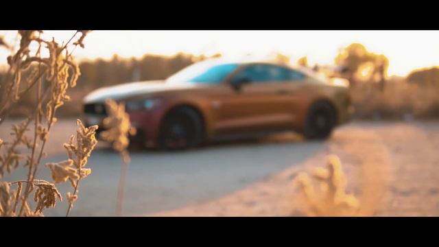 Velocity S1 E2 - CROWDMOWER - Ford Mustang GT смотреть онлайн