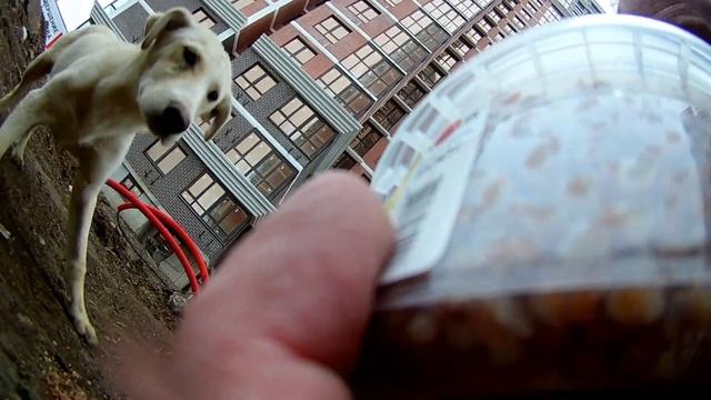 Краснодар Карантин Все Без Изменений.Делайте Добрые Дела Люди Добрые. смотреть онлайн