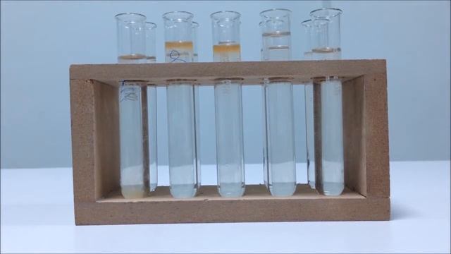 MOKYKLA 2013: Biologo užrašai: probleminio mokymosi žingsniai смотреть онлайн