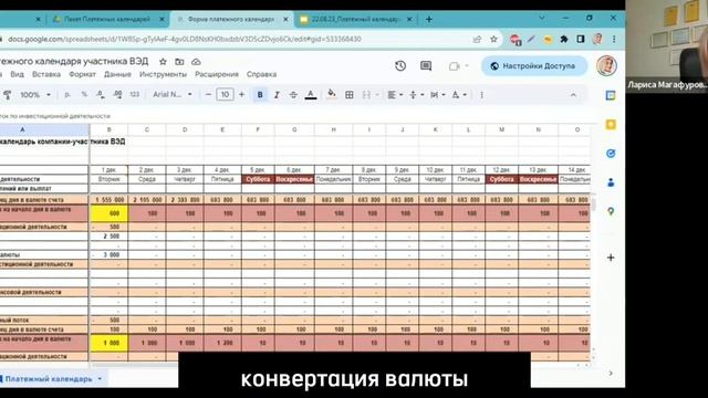 Форма платёжного календаря для компаний с ВЭД смотреть онлайн