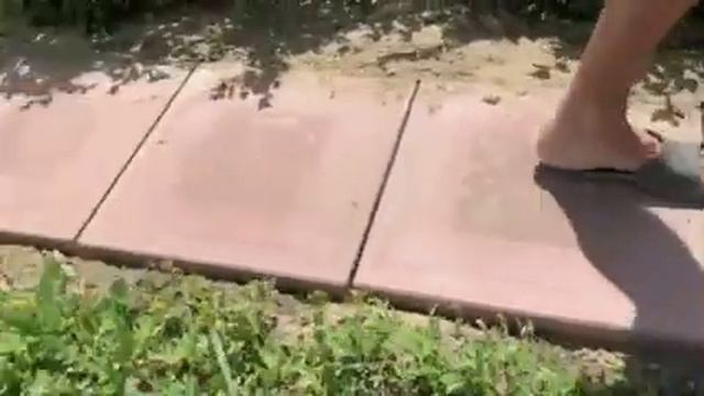 Делаем дорожки на участке из плитки смотреть онлайн