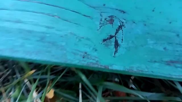 Эффективность полосок через 4ч. Флувалидез. смотреть онлайн