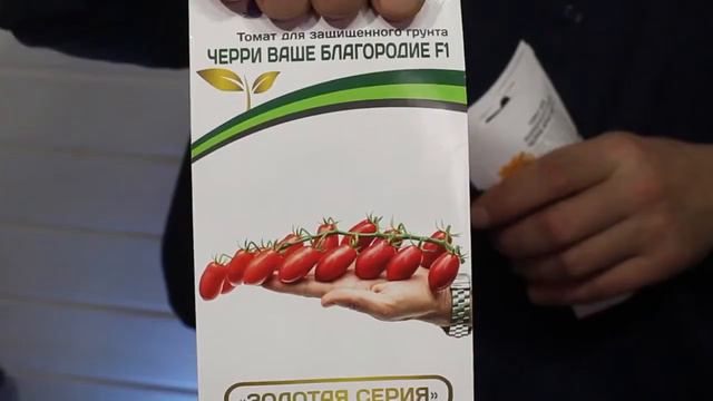 Выбираем Томаты на сезон 2020. Внимание! Сорта.Не гибриды.Уникальная серия Петуний "Итальянка". смотреть онлайн
