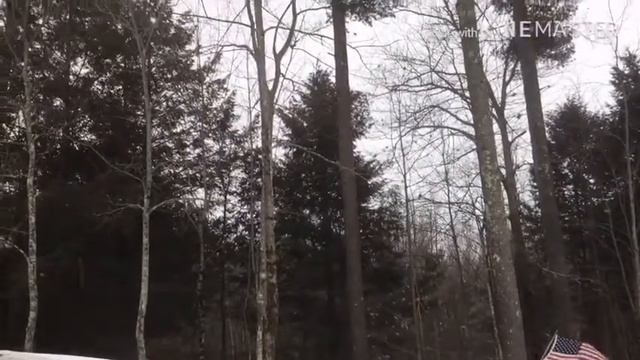 Winter Storm Harper смотреть онлайн