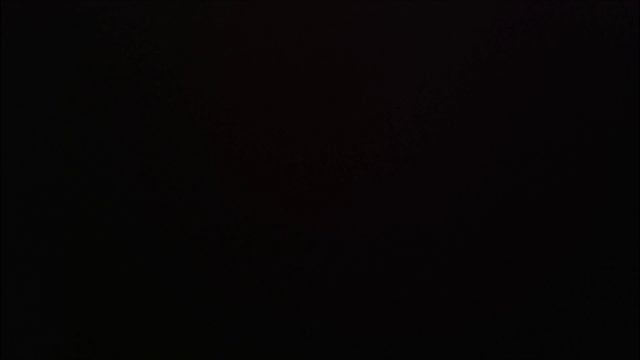 СКИБИДИ звери 17 смотреть онлайн