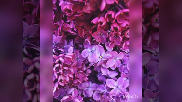 21.12.2021. Познание Самого Себя . Выход из Сансары перерождения и смерти ... Возвращение Домой ! смотреть онлайн