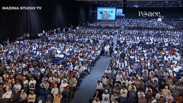 Почу в ИСЛАМЕ Свинья харам смотреть онлайн