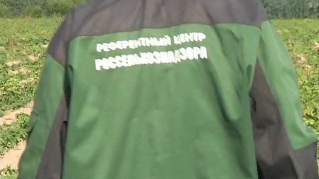 О профилактике золотистой картофельной нематоды на территории Нижегородской области смотреть онлайн