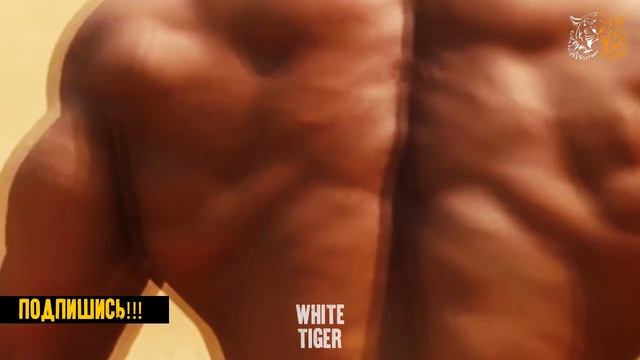 РУКИ, как у РОСОМАХИ в Реальной Жизни! Rahul Joshi - Бодибилдер из Индии! смотреть онлайн