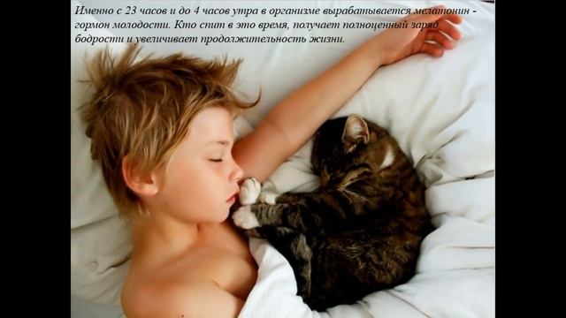 Чтобы жизнь не прошла даром смотреть онлайн