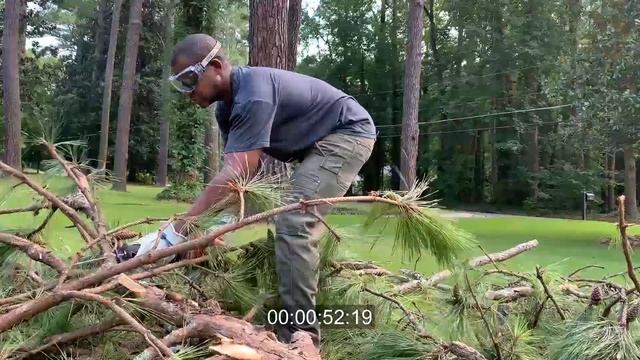 Using a Reciprocating Saw to Cut Tree Branches смотреть онлайн