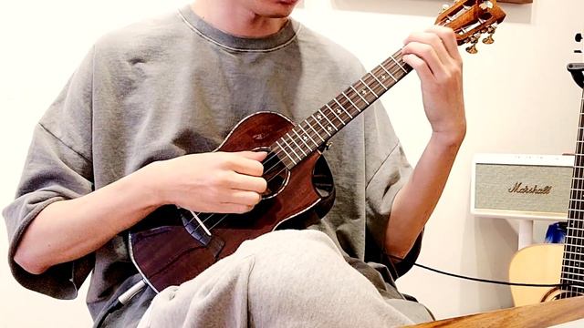 Fly me to the moon #ukulele #ukulelecover #우쿨렐레 смотреть онлайн