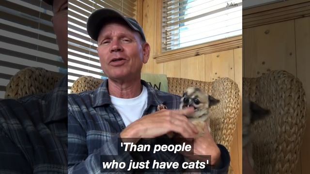 He just wants to pet his dog! This is why I am a cat смотреть онлайн