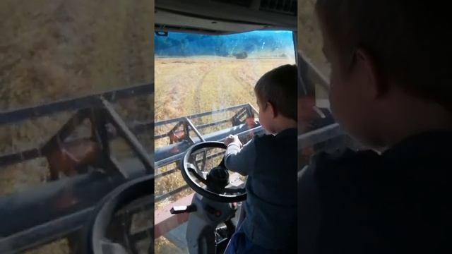 Начинающий комбайнер на КСУ-1 смотреть онлайн