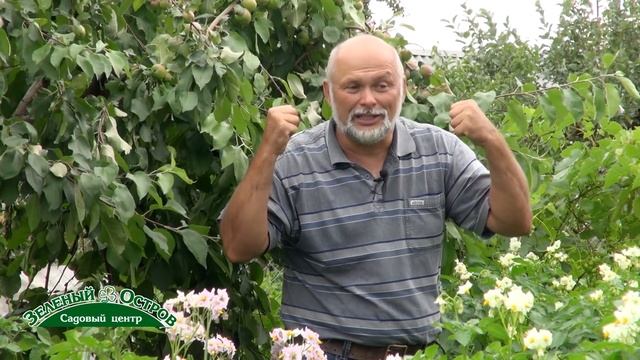 Цветение картофеля. Сидельников А.И. смотреть онлайн
