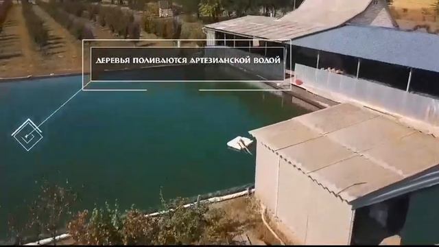 Самый большой кизиловый сад в Мире смотреть онлайн