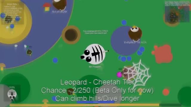 Mope.io Getting All Rare Animals!! White Tiger, Black Panther and Leopard Gameplay!! смотреть онлайн