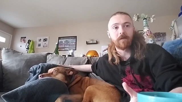 SIck Day - Home Day with Special Guest Star River, The Games Industries 3rd Most Important Dog смотреть онлайн