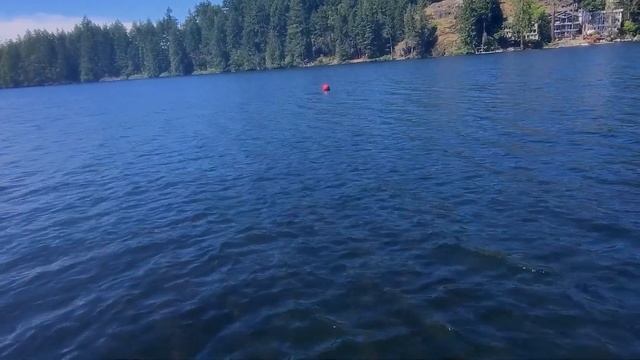 Catch a lot of TROUT using these BAIT! (RAINBOW TROUT) (POWERBAIT, GULP) смотреть онлайн