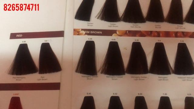 Loreal Majirel Shade Card Study. Loreal Majirel Hair Color Theory/