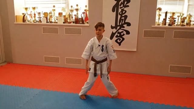 Базовые блоки в киокушин карате. Kyokushin karate basic blocks смотреть онлайн