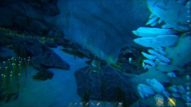 Find Top Tier Blueprints & Loot on Crystal Isles | ARK | ARK: Survival Evolved | Flak Bps | Saddles смотреть онлайн