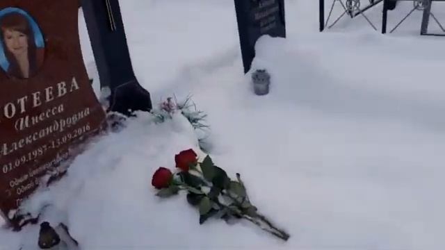 Две красные розы на белом снегу смотреть онлайн