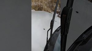 Замена бескаркасных дворников.