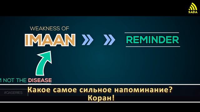 Жена не хочет одевать хиджаб смотреть онлайн