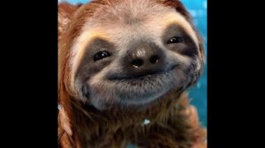 Улыбка (la sonrisa) (от улыбки станет всем светлей) | la canción rusa (canto yo :)