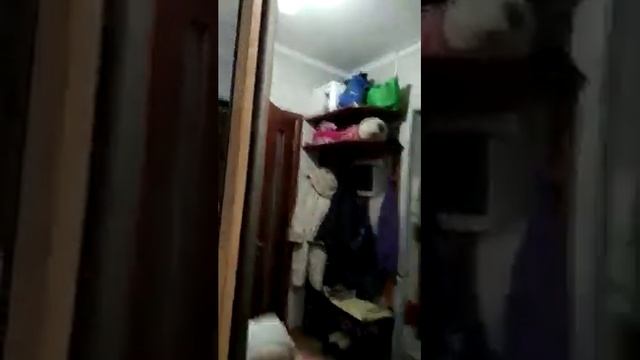 зеркала без разводов смотреть онлайн