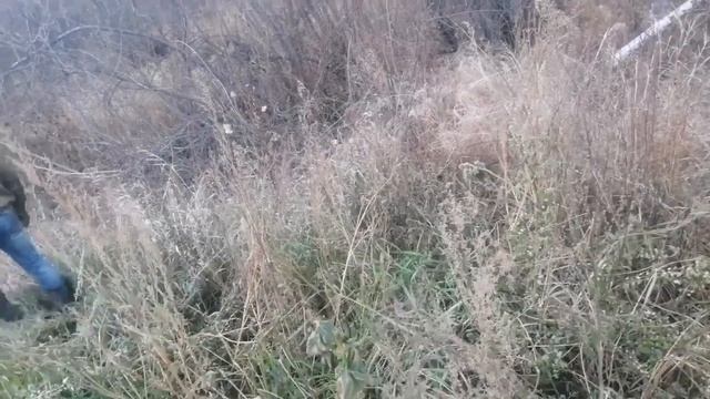 Коп у ручья.Полиспасты,троса,проволока,цветнина,жесть, трубы.Ответы на комментарии Берем все!Часть# смотреть онлайн