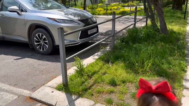 Азербайджан:завтрак в лесу /новый влог /Габала смотреть онлайн