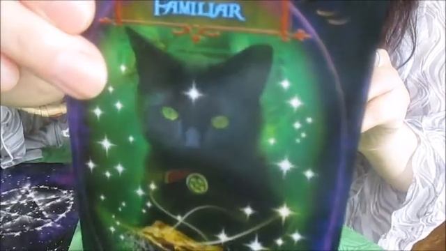 ✨witches' wisdom oracle cards 開封動画✨ смотреть онлайн