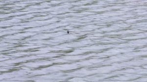 Как измерить глубину на рыбалке?  Уроки рыбалки от Юрия Радугина.