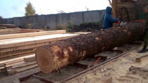 Бревно на ленточной пилораме. Производство пиломатериала.